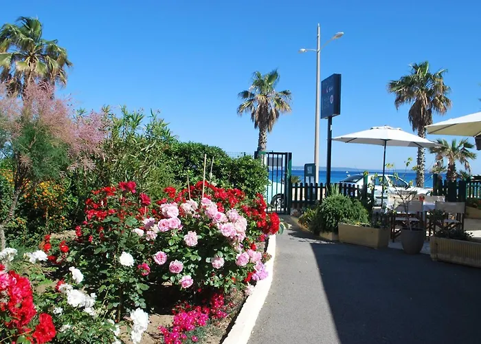 Cosy Au Lavandou Avec Parking, A Deux Pas De La - Fr-1-803-78 *