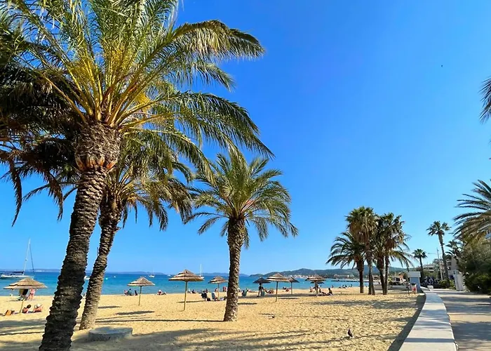 Cosy Au Lavandou Avec Parking, A Deux Pas De La - Fr-1-803-78